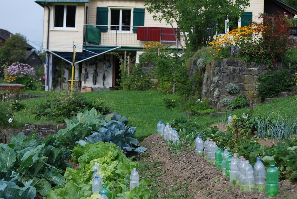 Sonnmatt Bergpension & Gesundheitszentrum Ebnat-Kappel Exterior foto